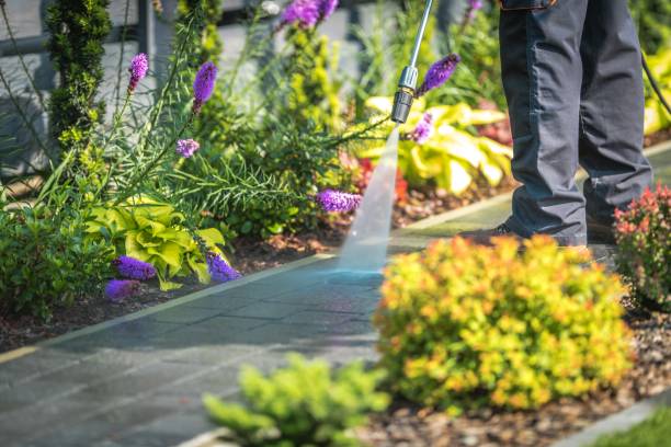 Best Animal Enclosure Cleaning  in Fort Pierce, FL